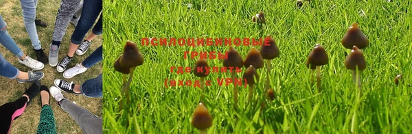 синтетический гашиш Зеленокумск