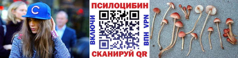 Купить закладки  Железноводск  Псилоцибиновые грибы мицелий 